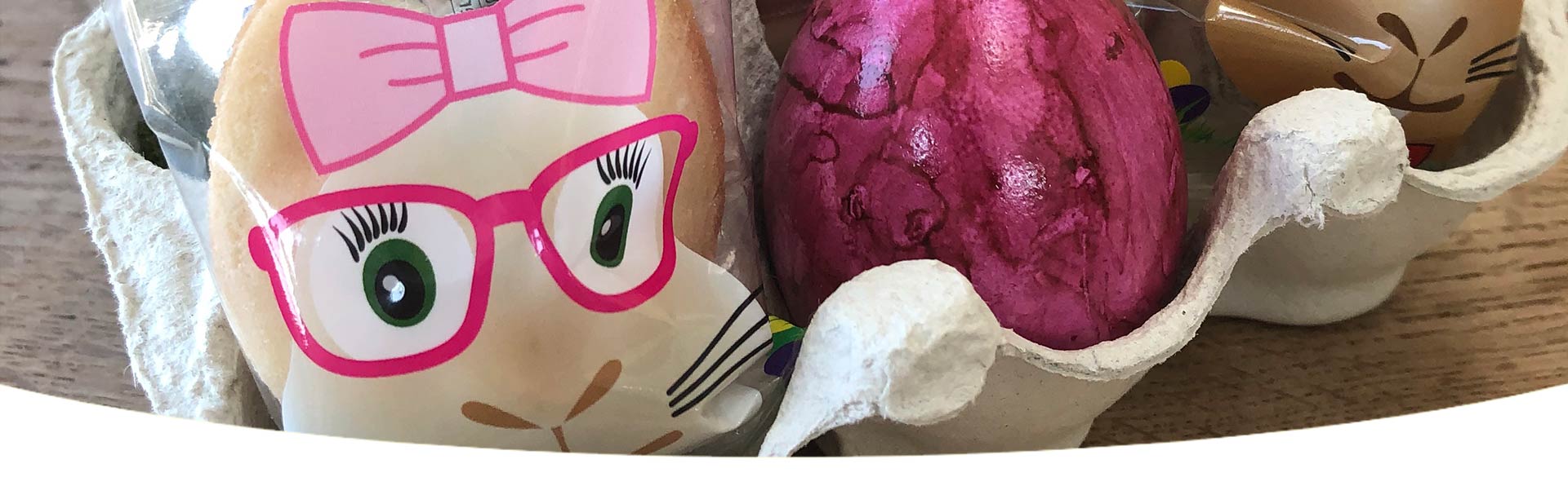 DIY Ostergeschenk Osterhasen-Glückskekse mit Osterei im Eierkarton